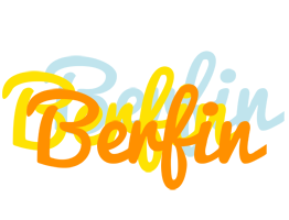 berfin energy logo