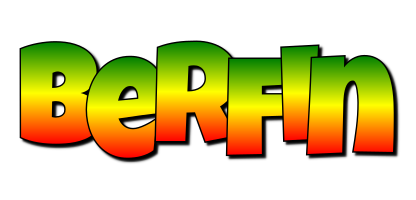 berfin mango logo