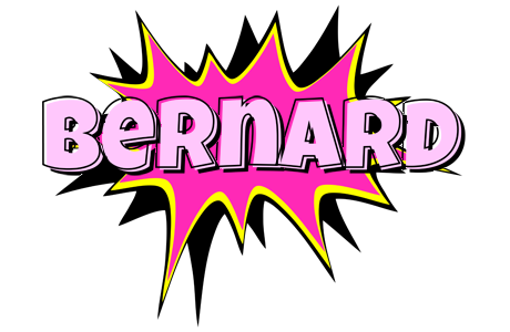 bernard badabing logo
