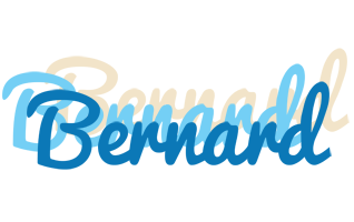 bernard breeze logo