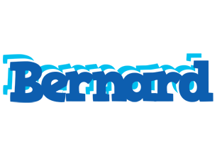 bernard business logo