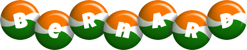 bernard india logo