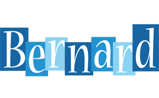 bernard winter logo