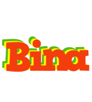 bina bbq logo