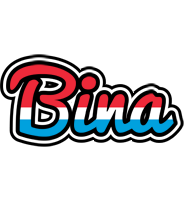 bina norway logo