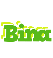 bina picnic logo