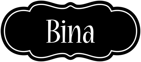 bina welcome logo