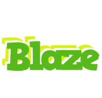 blaze picnic logo