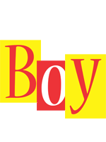 boy errors logo