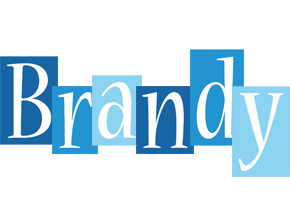 brandy winter logo