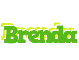 brenda picnic logo