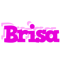 brisa rumba logo