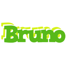 bruno picnic logo