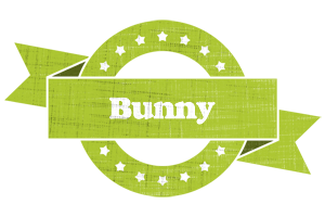 bunny change logo