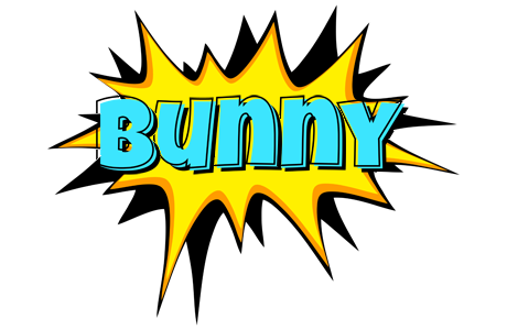 bunny indycar logo