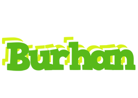 burhan picnic logo