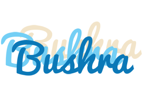 bushra breeze logo