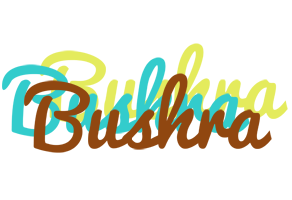 bushra cupcake logo