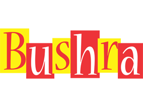 bushra errors logo