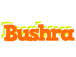 bushra healthy logo