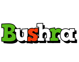 bushra venezia logo