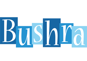 bushra winter logo