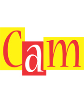 cam errors logo