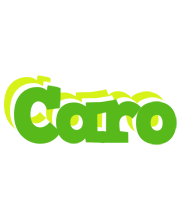 caro picnic logo