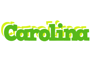 carolina picnic logo