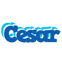 cesar business logo