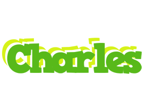 charles picnic logo