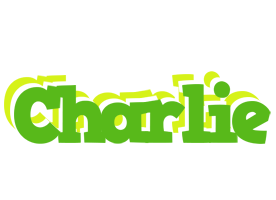 charlie picnic logo