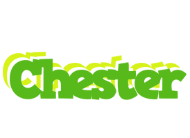 chester picnic logo