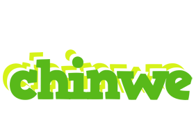 chinwe picnic logo