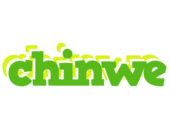 chinwe picnic logo