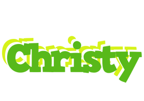 christy picnic logo