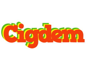 cigdem bbq logo