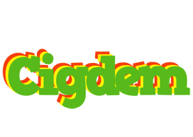 cigdem crocodile logo