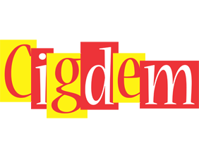 cigdem errors logo