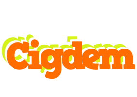 cigdem healthy logo