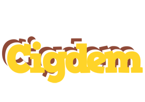 cigdem hotcup logo