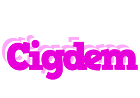 cigdem rumba logo