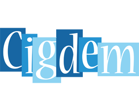 cigdem winter logo