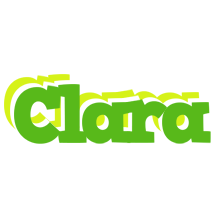 clara picnic logo