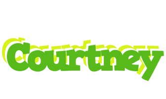 courtney picnic logo