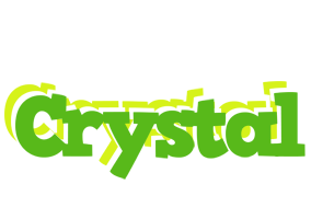 crystal picnic logo