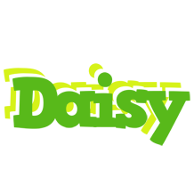 daisy picnic logo