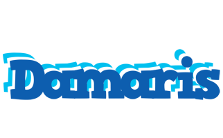 damaris business logo