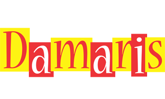 damaris errors logo
