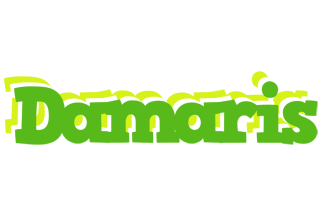damaris picnic logo